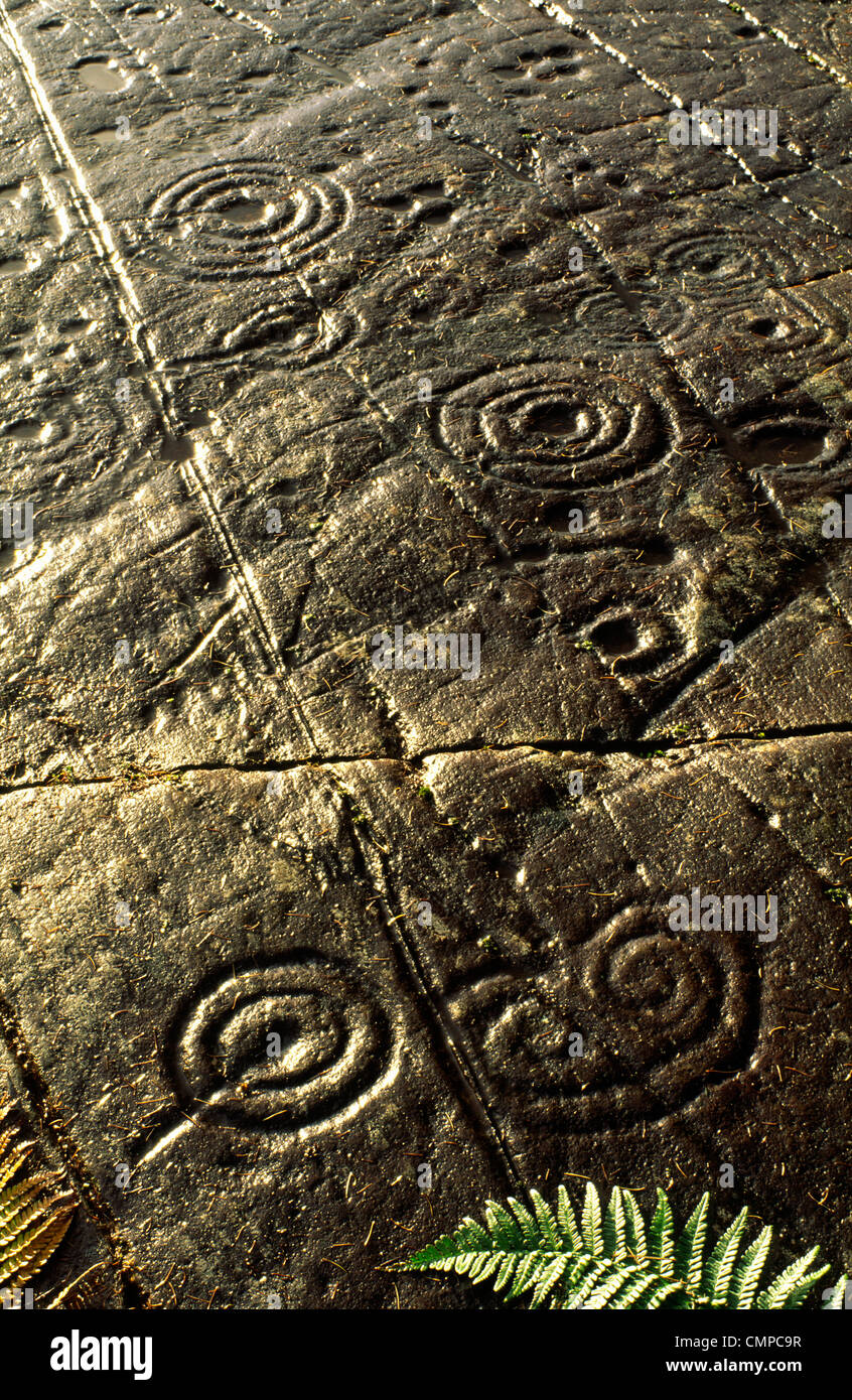 Coppa di epoca preistorica e tacca di pietra scolpita arte rock affioramento a Achnabreck, Kilmartin Valley, Argyll, Scozia occidentale, REGNO UNITO Foto Stock