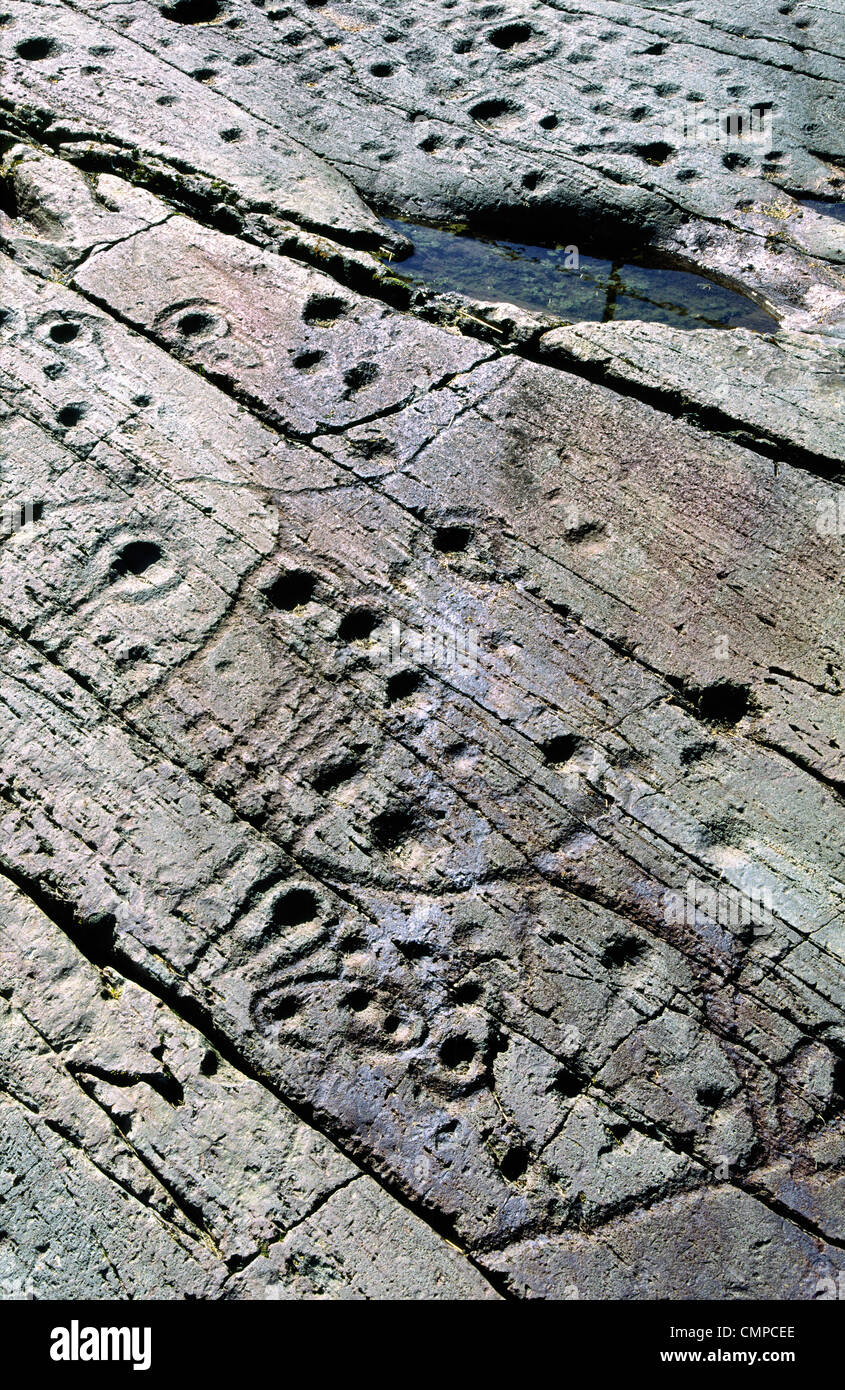 Coppa di epoca preistorica e tacca di pietra scolpita arte rock affioramento presso Kilmichael Glassary, Kilmartin Valley, Argyll, Scozia occidentale, REGNO UNITO Foto Stock