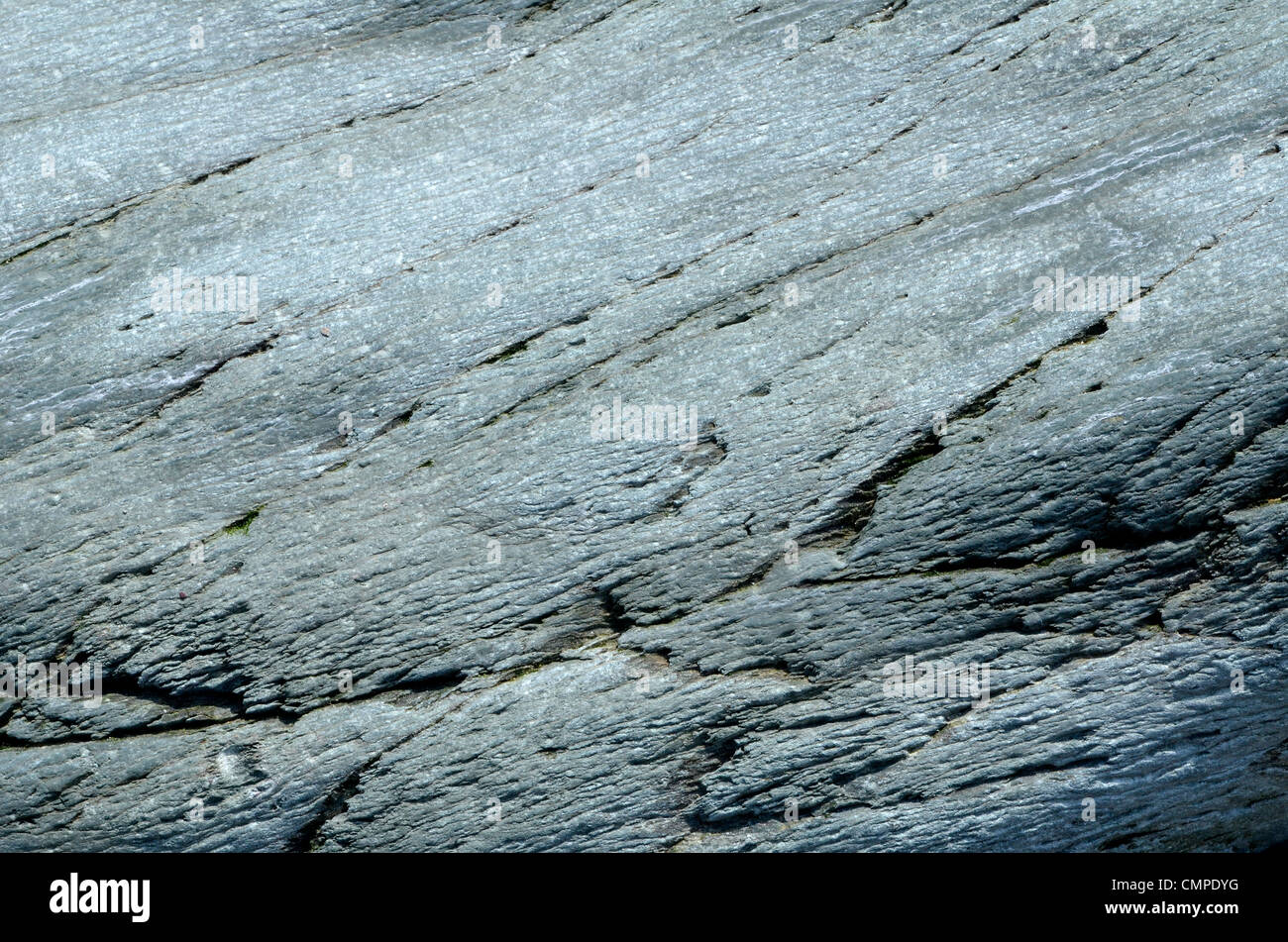 Weathered rock superficie costiera - SW di Looe, Mid-Cornwall. Concetto di 'cadere sul terreno pietroso', avvertenze o consigli ignorato. etc. International Rock giorno. Foto Stock