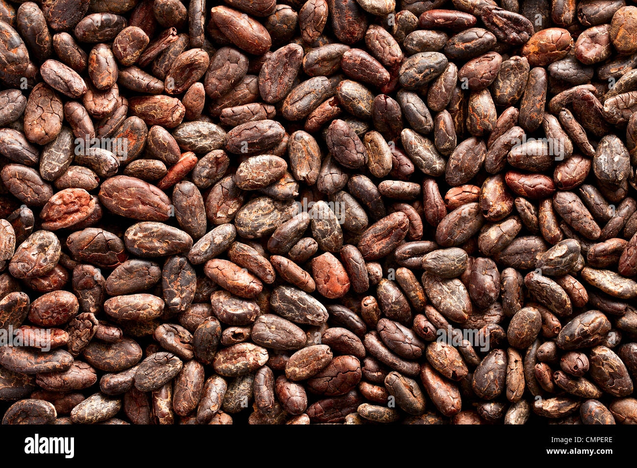 Modello di fave di cacao sfondo Foto Stock