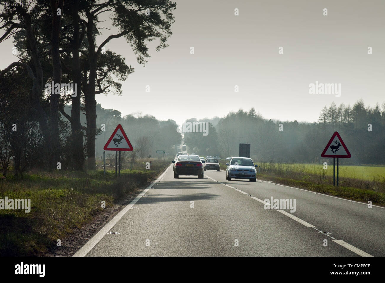 Le vetture della guida su strada a carreggiata singola sezione della A11 in Norfolk, Regno Unito Foto Stock