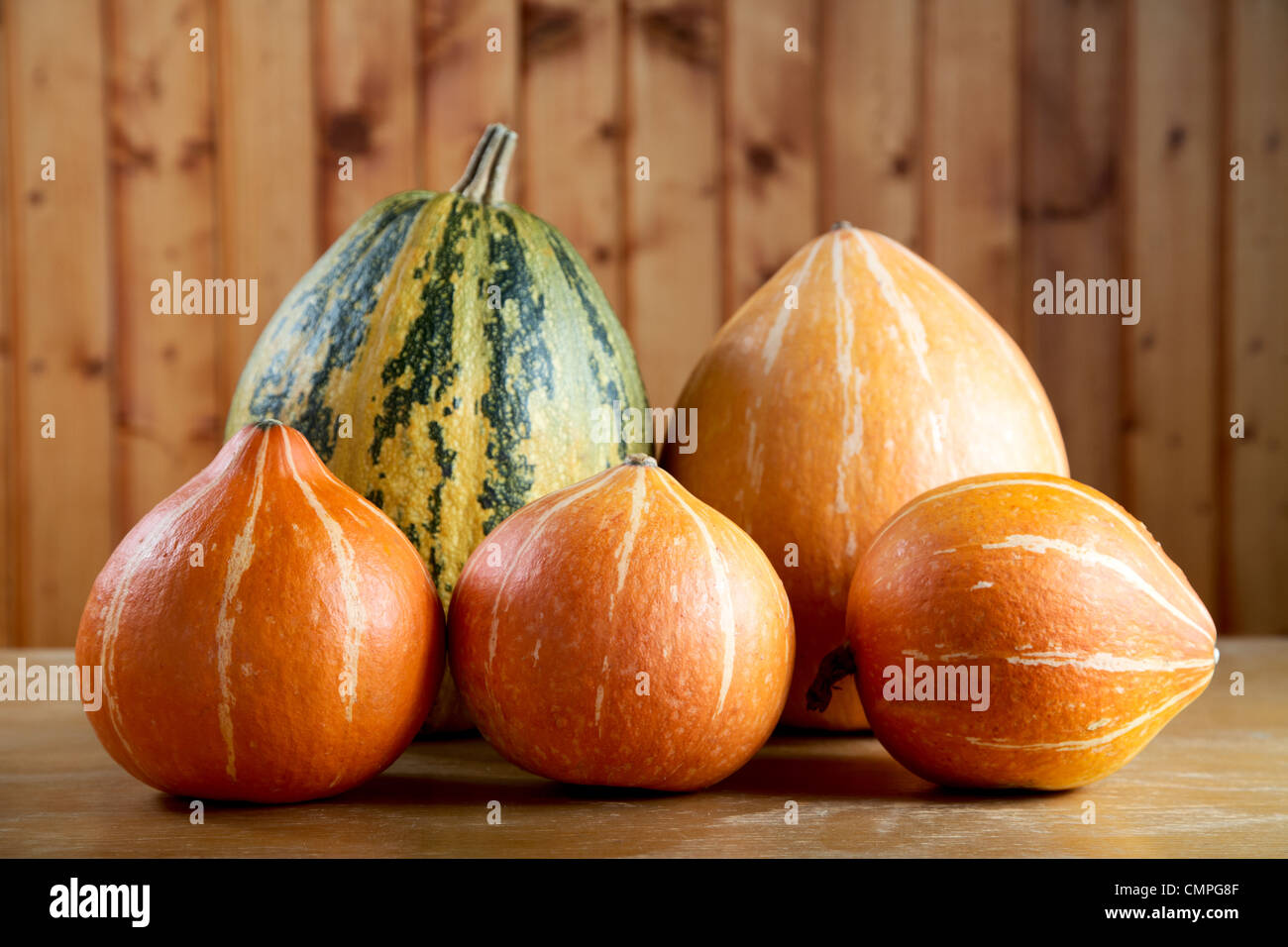 Zucchini e zucche contro una parete di bordo Foto Stock