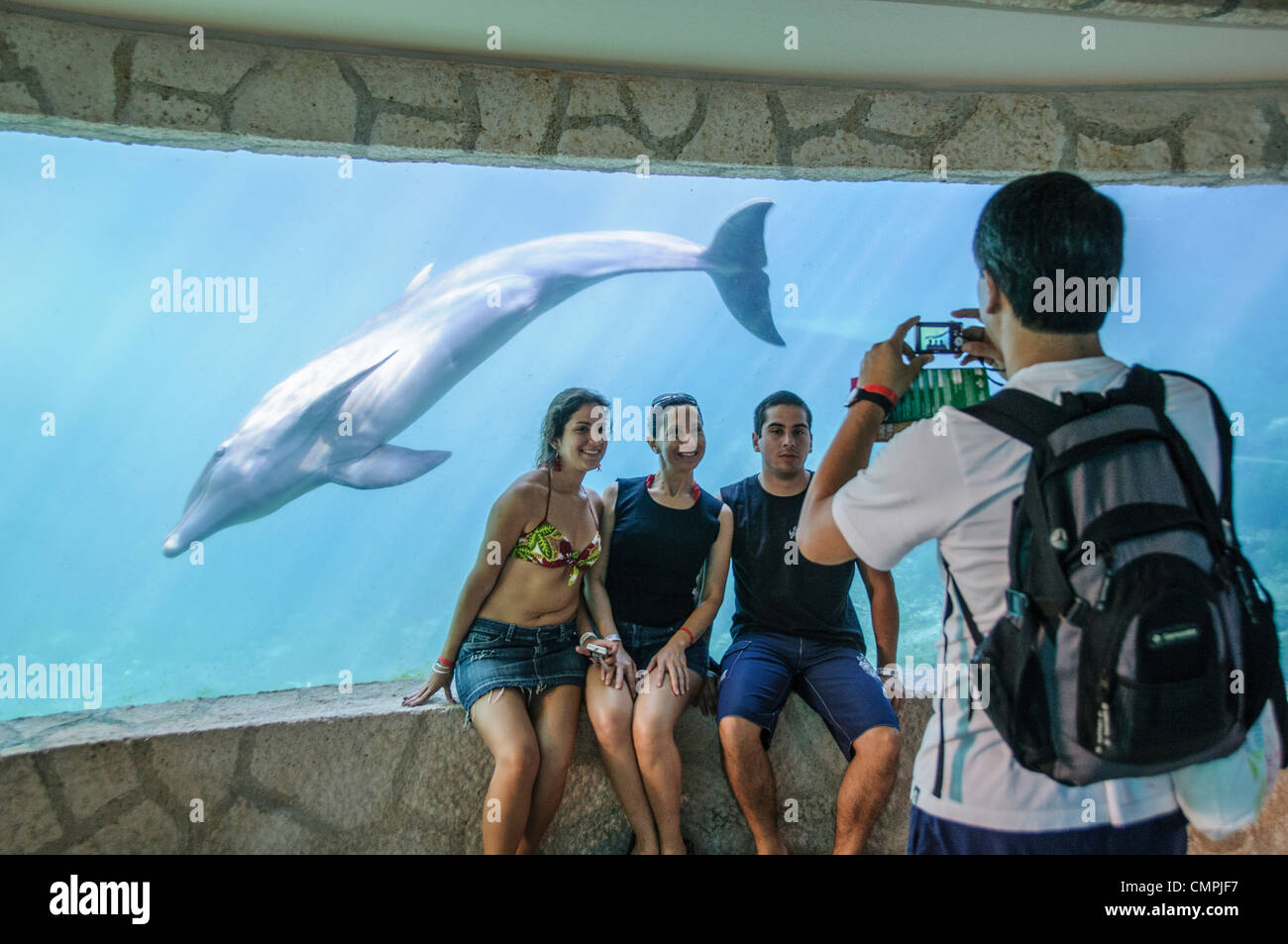 I turisti guarda un delfino (focena) nuotare in un acquario subacqueo a Xcarat Maya theme park a sud di Cancun e Playa del Carmen in Messico della penisola Yucatana. Foto Stock
