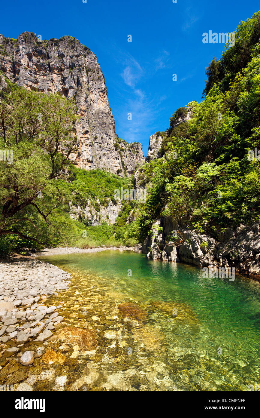 Le chiare acque del fiume Voidomatis nelle Gole di Vikos in primavera, Zagoria, Epiro, Grecia, Europa Foto Stock