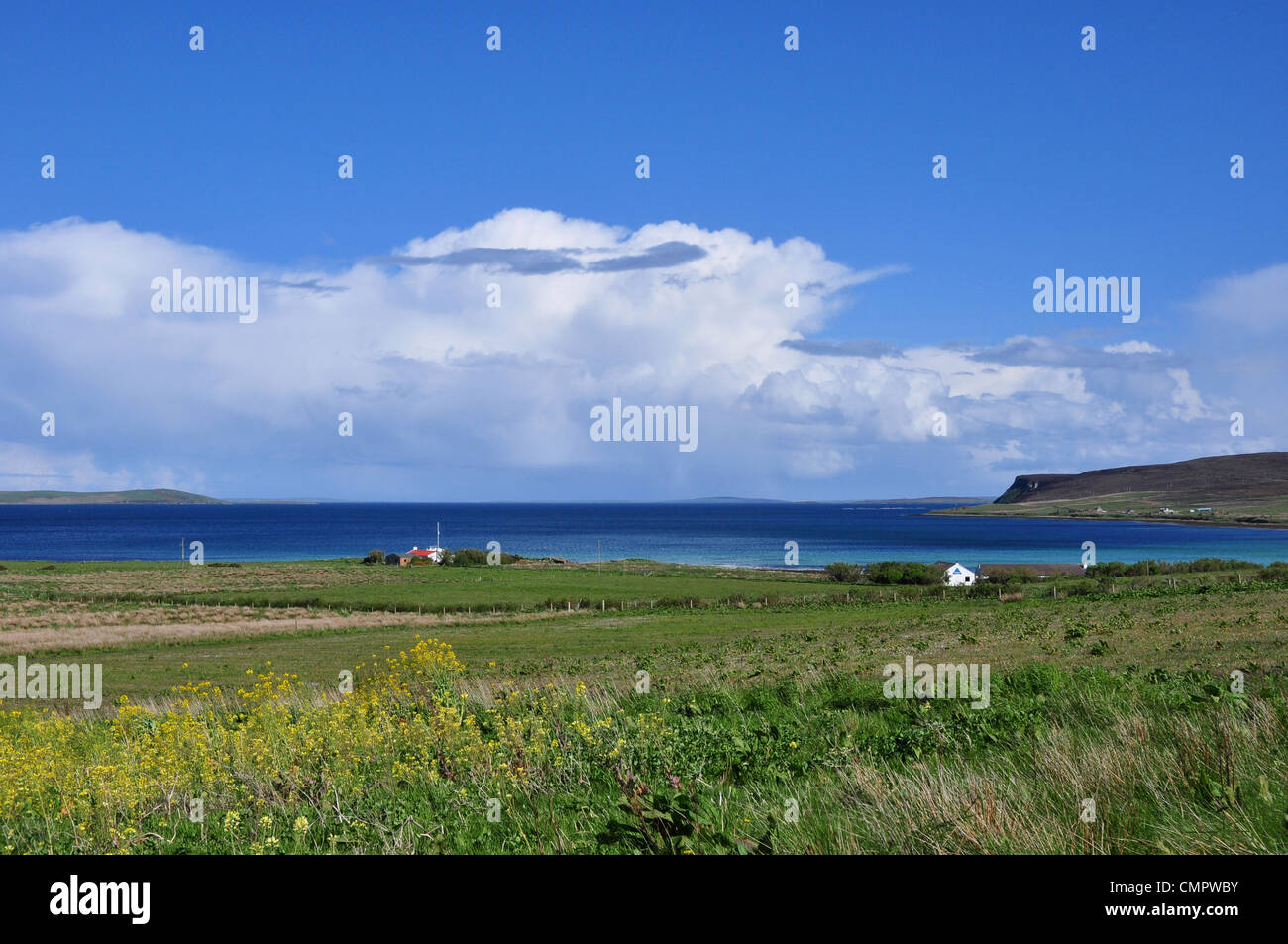 Isola di Hoy, isole Orcadi, Scozia. Foto Stock
