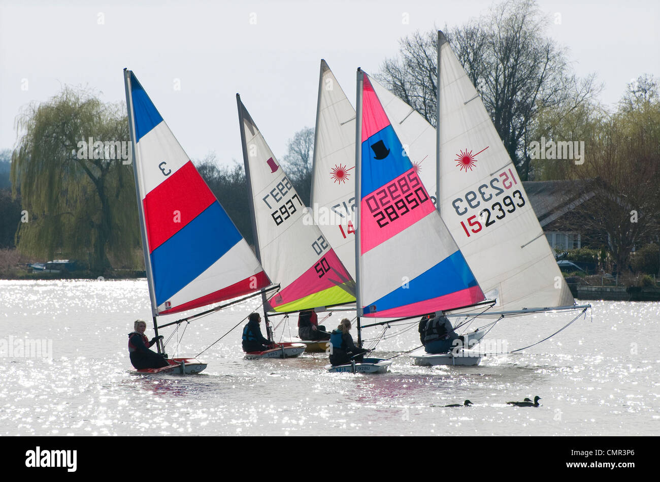 gara di barche a vela, norfolk broads, inghilterra Foto Stock