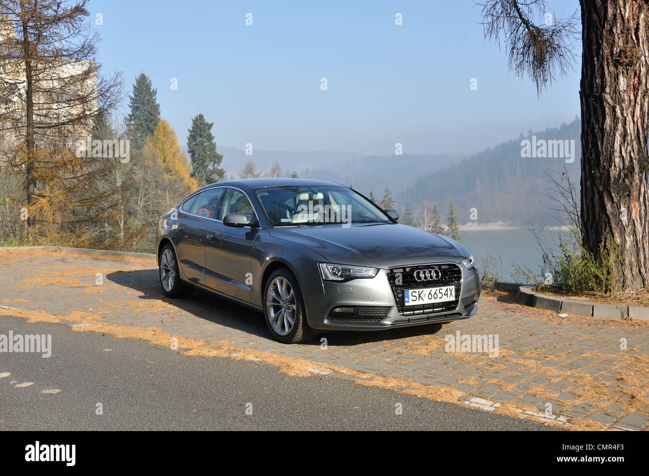 Audi A5 Sportback - il mio 2007 (FL 2012) - Premio tedesco medio-alto limousine classe segmento (D) Foto Stock