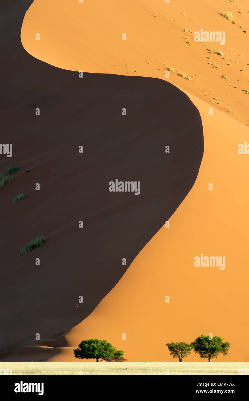 Curva Duna Rossa nel Naukluft national park, Namibia, Foto Stock