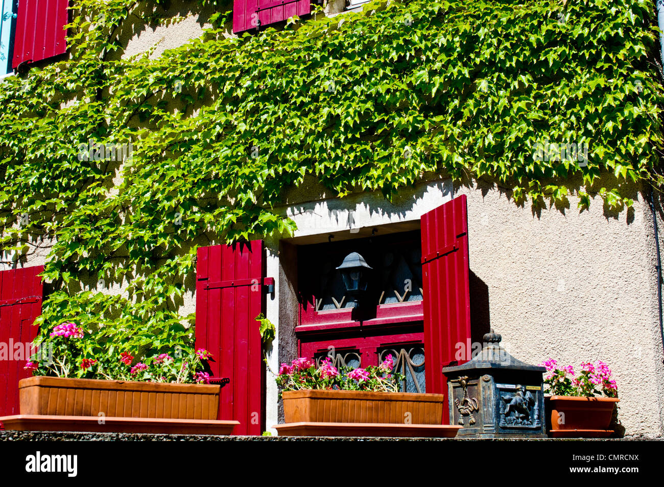 Persiane rosse e fiori di colore rosa con Bright Green ivy cresce un bianco muro intonacato in Naucelle, Midi-Pirenei, Francia. Foto Stock