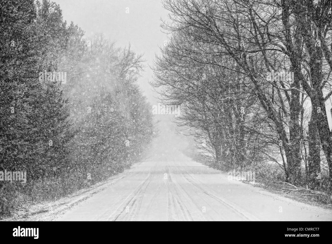 Tempesta di neve sulla strada di un paese, southwestern Ontario Foto Stock