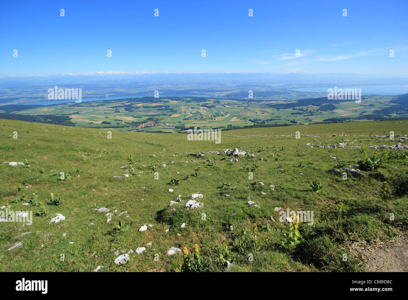 Vista su tutte le Alpi montagna dal monte Chasseral, Giura, Svizzera, dal bel tempo Foto Stock