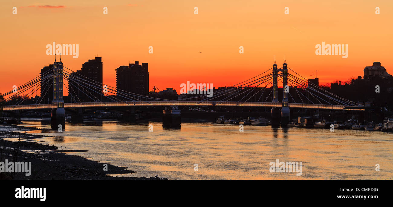 Albert Bridge, London, Vista notte Foto Stock