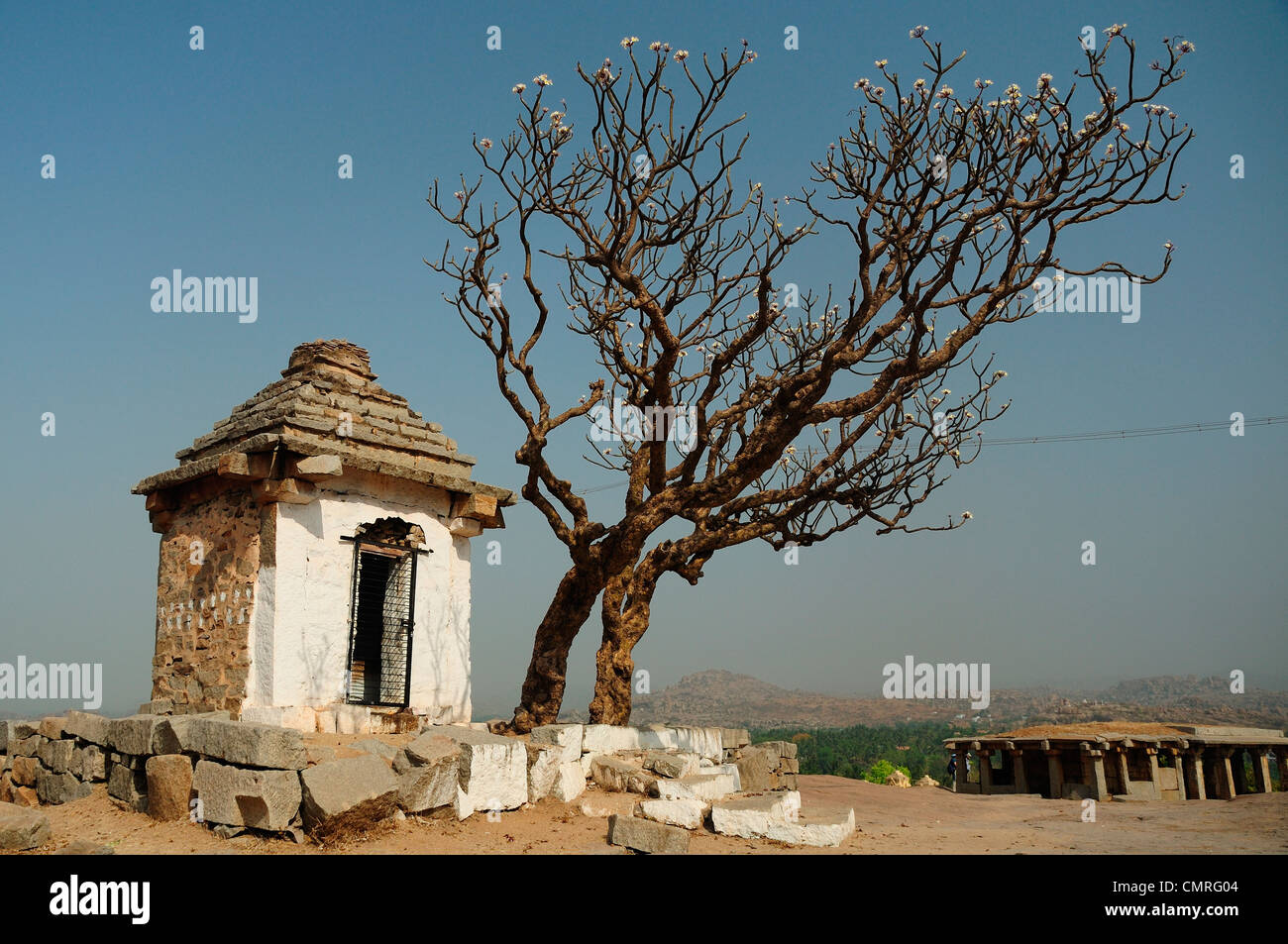 Tempio indiano Foto Stock