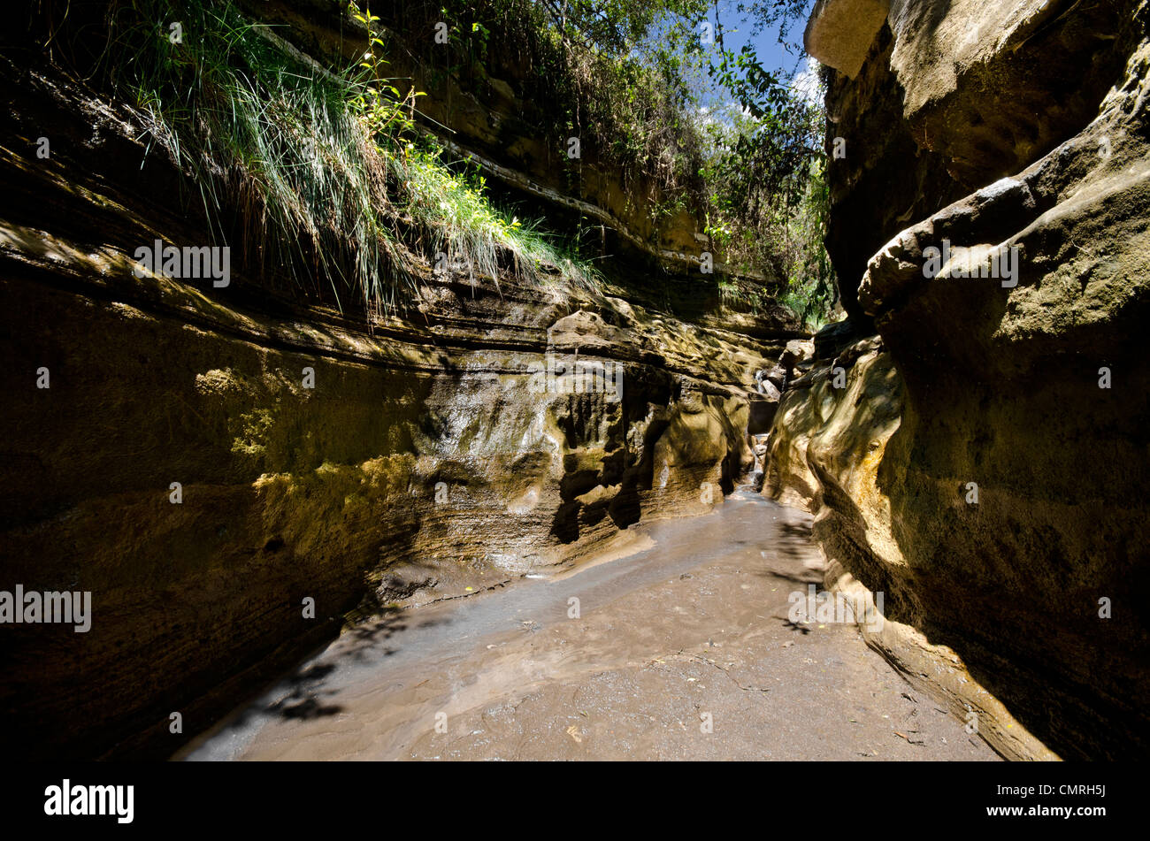 Gorge in Hell's Gate National Park, Kenya Foto Stock