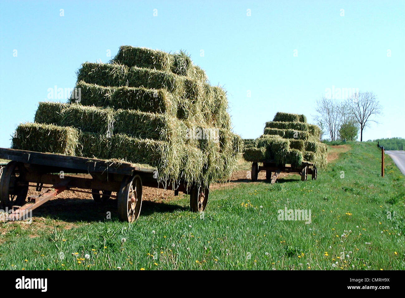 2000s balle di fieno caricati su carri in agriturismo Foto Stock