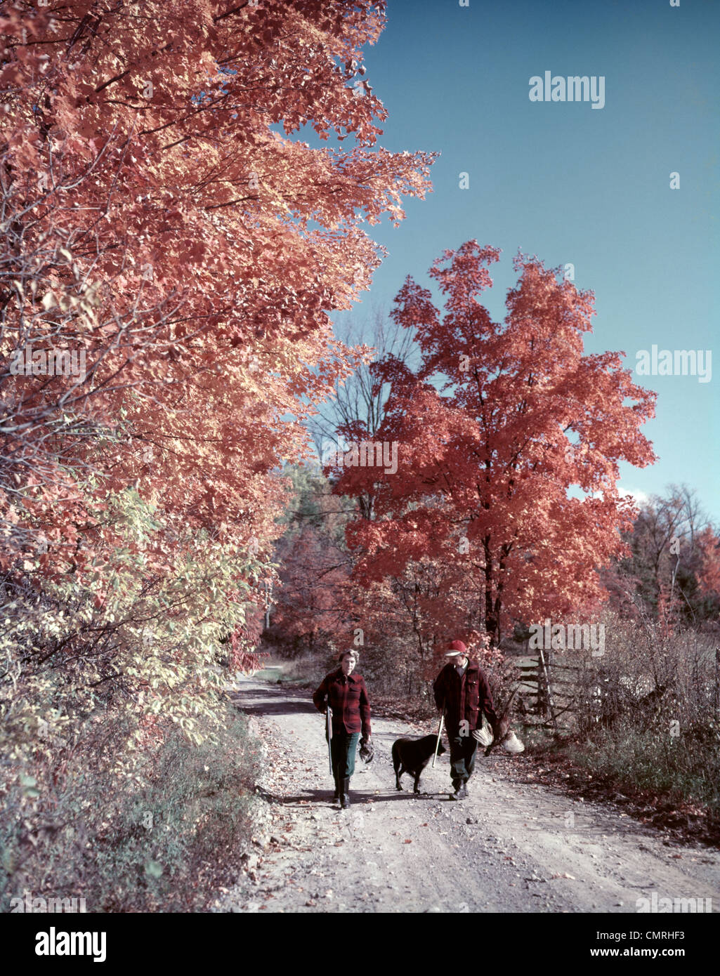 Anni Cinquanta anni sessanta SENIOR GIOVANE UOMO DONNA AUTUNNO A PIEDI COUNTRY ROAD Abbigliamento da caccia FUCILI Fagiano di cane Foto Stock
