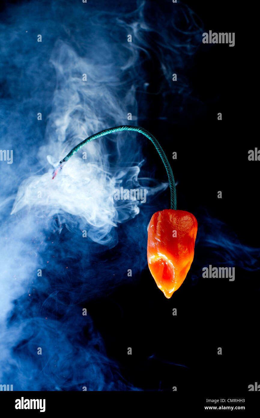 A bruciare il fusibile si sostituisce lo stelo di un arancio peperoncino habanero. Foto Stock