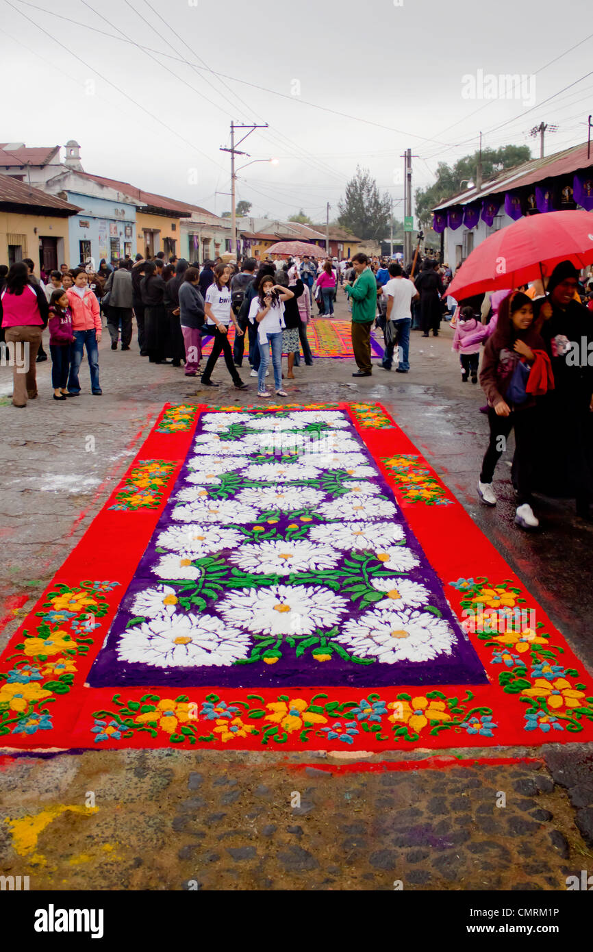 Tappeto di fiori per le processioni di Antigua Guatemala Foto Stock