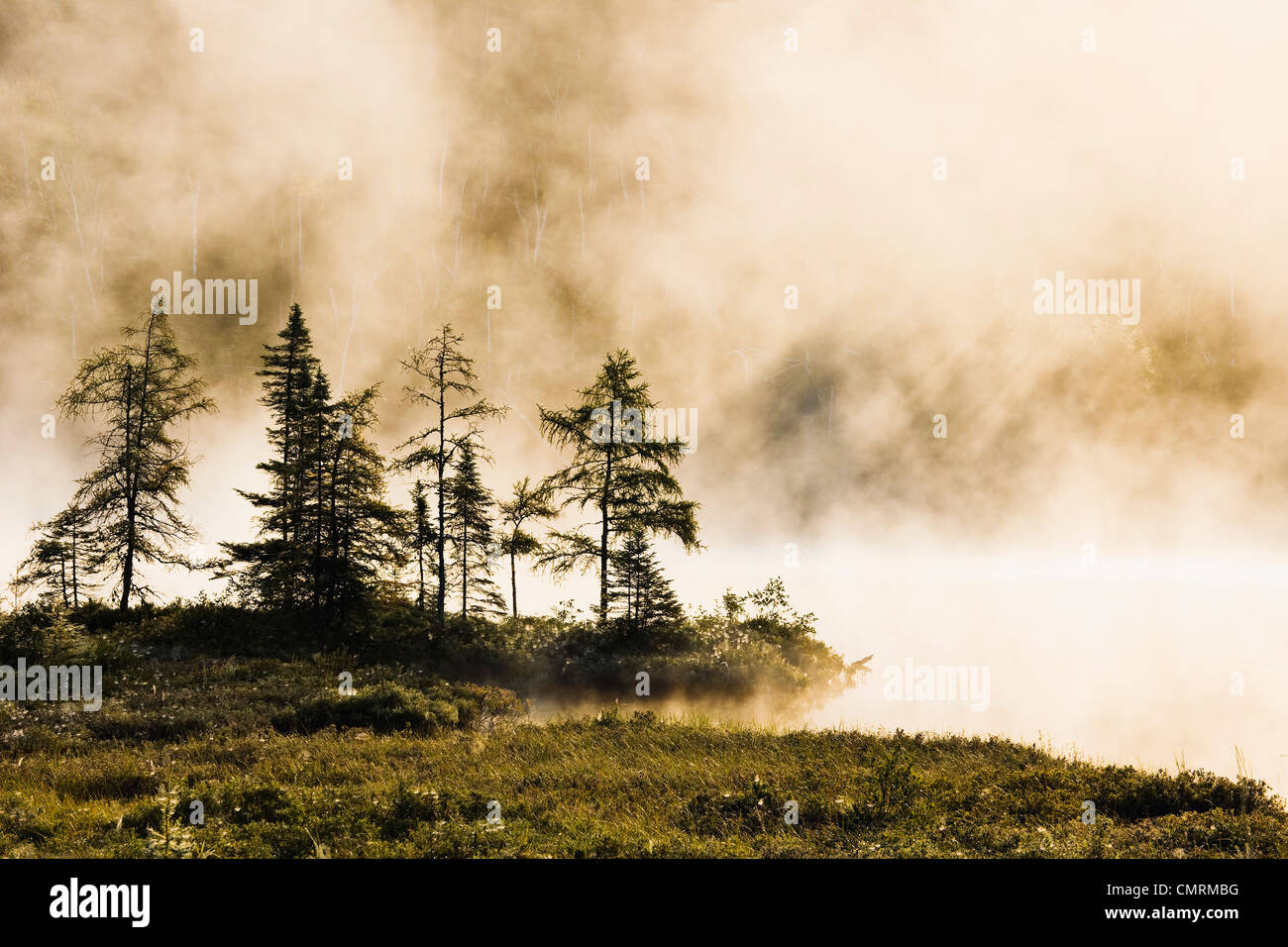 Nebbia su Lac Roland di sunrise, riserva faunique La Verendrye, regione di Outaouais, Québec Foto Stock