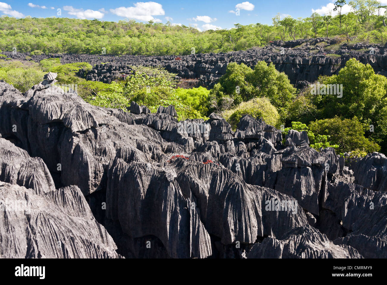Gli Tsingy dell'Ankarana, Madagascar settentrionale Foto Stock