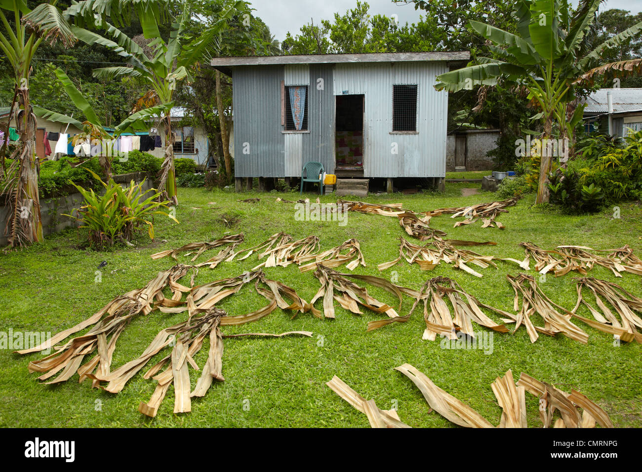 Ferro corrugato house e foglie di essiccazione, Namaqumaqua village, il litorale di corallo, Viti Levu, Figi e Sud Pacifico Foto Stock