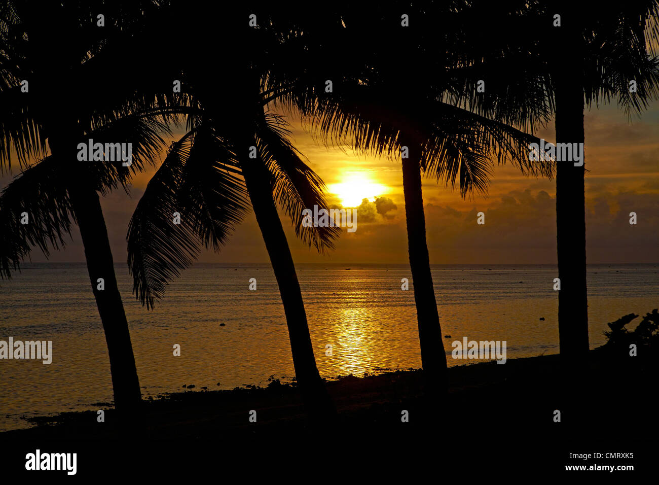 Tramonto e palme, il litorale di corallo, Viti Levu, Figi e Sud Pacifico Foto Stock