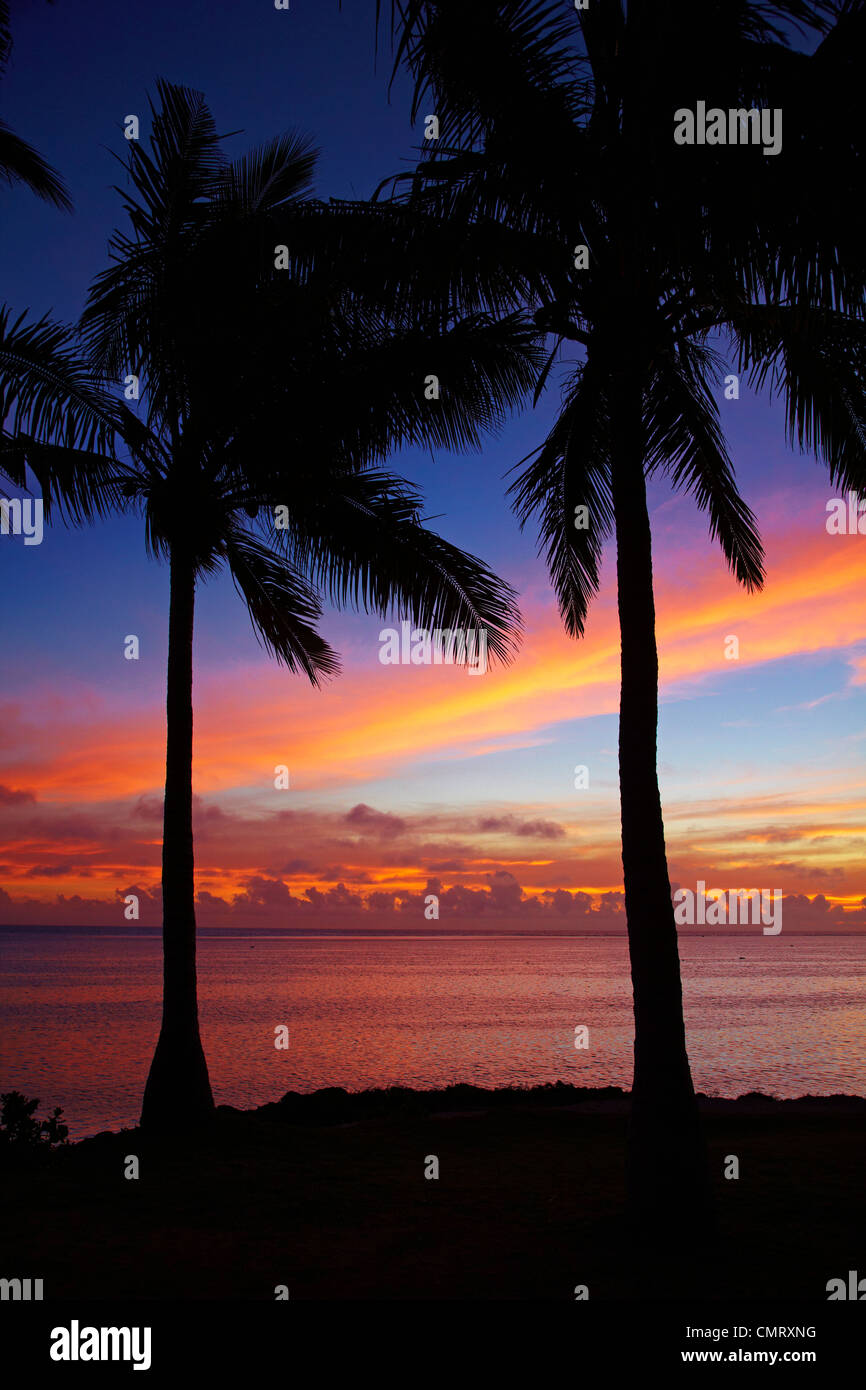 Tramonto e palme, il litorale di corallo, Viti Levu, Figi e Sud Pacifico Foto Stock