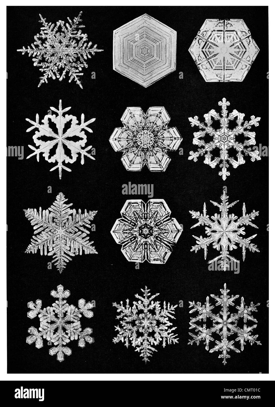 Cristallo di neve forme geometriche di Natale a fiocco di neve Foto Stock