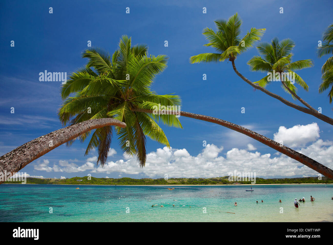 Gli alberi di palma, Shangri-La Resort Fijiano, Yanuca Island, Coral Coast, Viti Levu, Figi e Sud Pacifico Foto Stock
