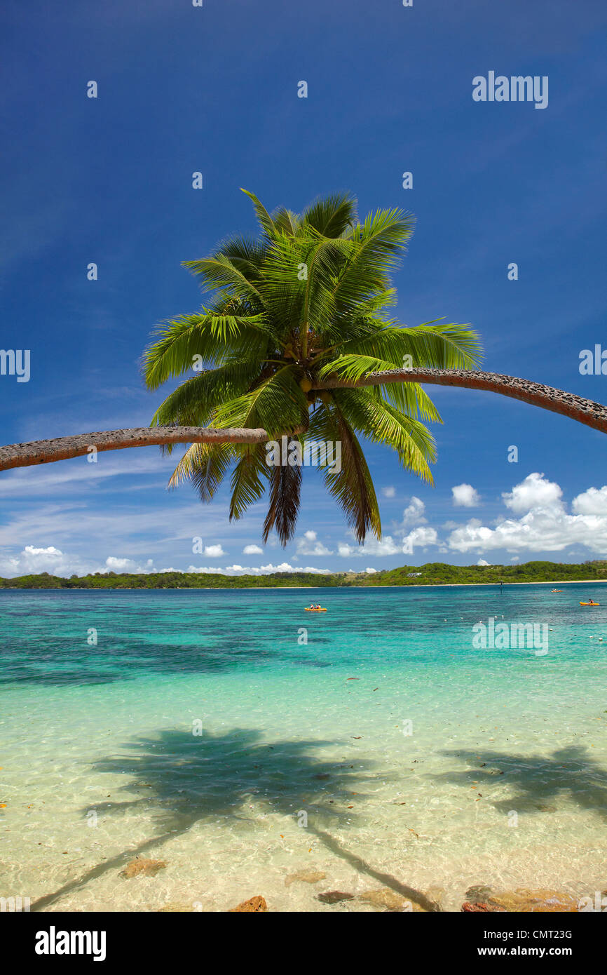 Gli alberi di palma, Shangri-La Resort Fijiano, Yanuca Island, Coral Coast, Viti Levu, Figi e Sud Pacifico Foto Stock