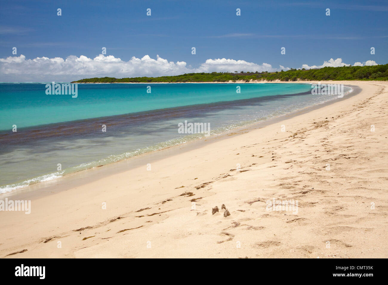 Natadola Beach, il litorale di corallo, Viti Levu, Figi e Sud Pacifico Foto Stock