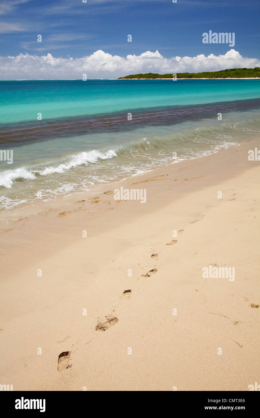 Orme nella sabbia su Natadola Beach, il litorale di corallo, Viti Levu, Figi e Sud Pacifico Foto Stock