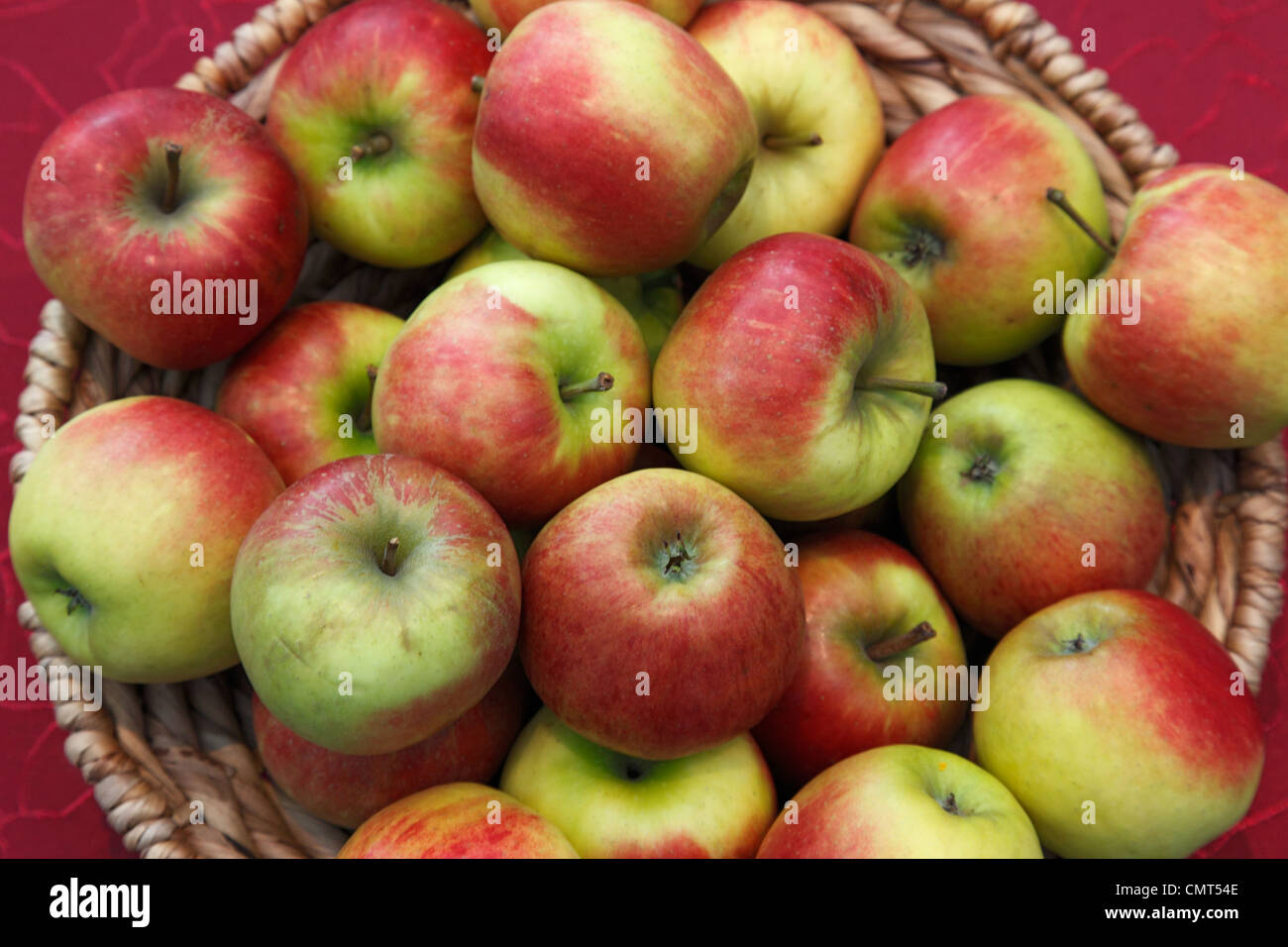 Prodotti alimentari, frutta, pipfruit, mele in un cestello, Malus domestica, Berlepsch Foto Stock