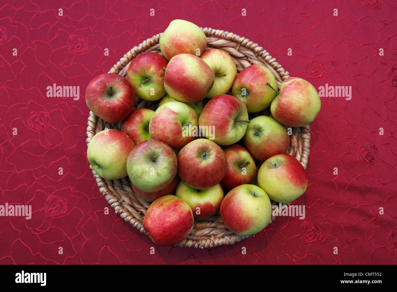 Prodotti alimentari, frutta, pipfruit, mele in un cestello, Malus domestica, Berlepsch Foto Stock
