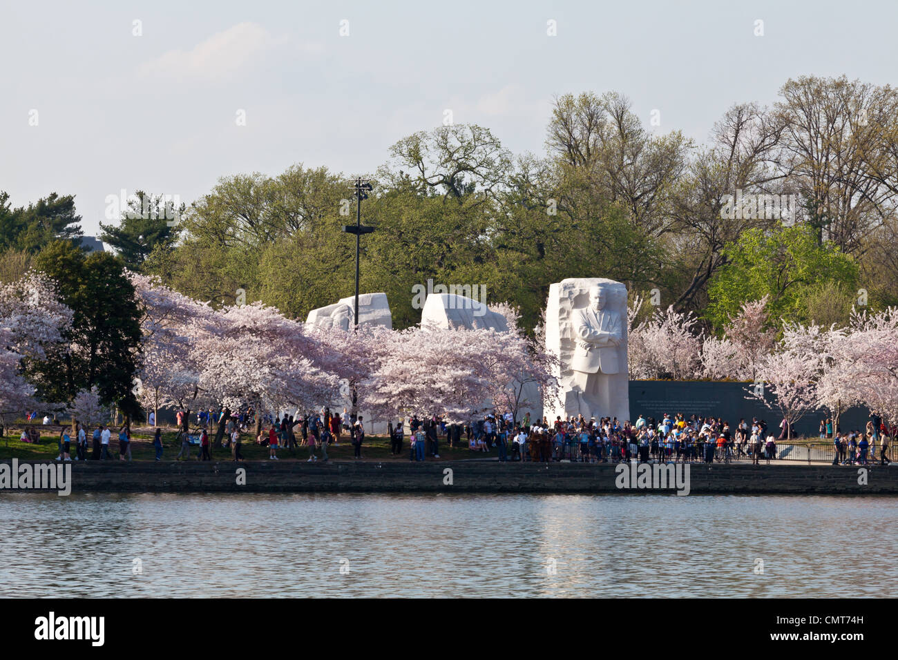 Fiori Ciliegio intorno al bacino di marea in Washington DC con Martin Luther King Memorial Foto Stock