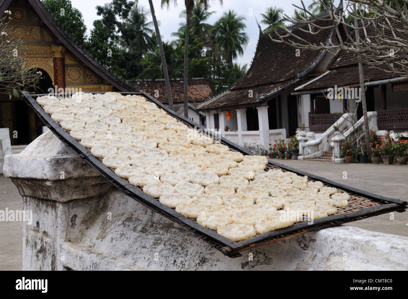 Sticky torte di riso essiccazione su una parete del tempio Luang Prabang Laos Foto Stock