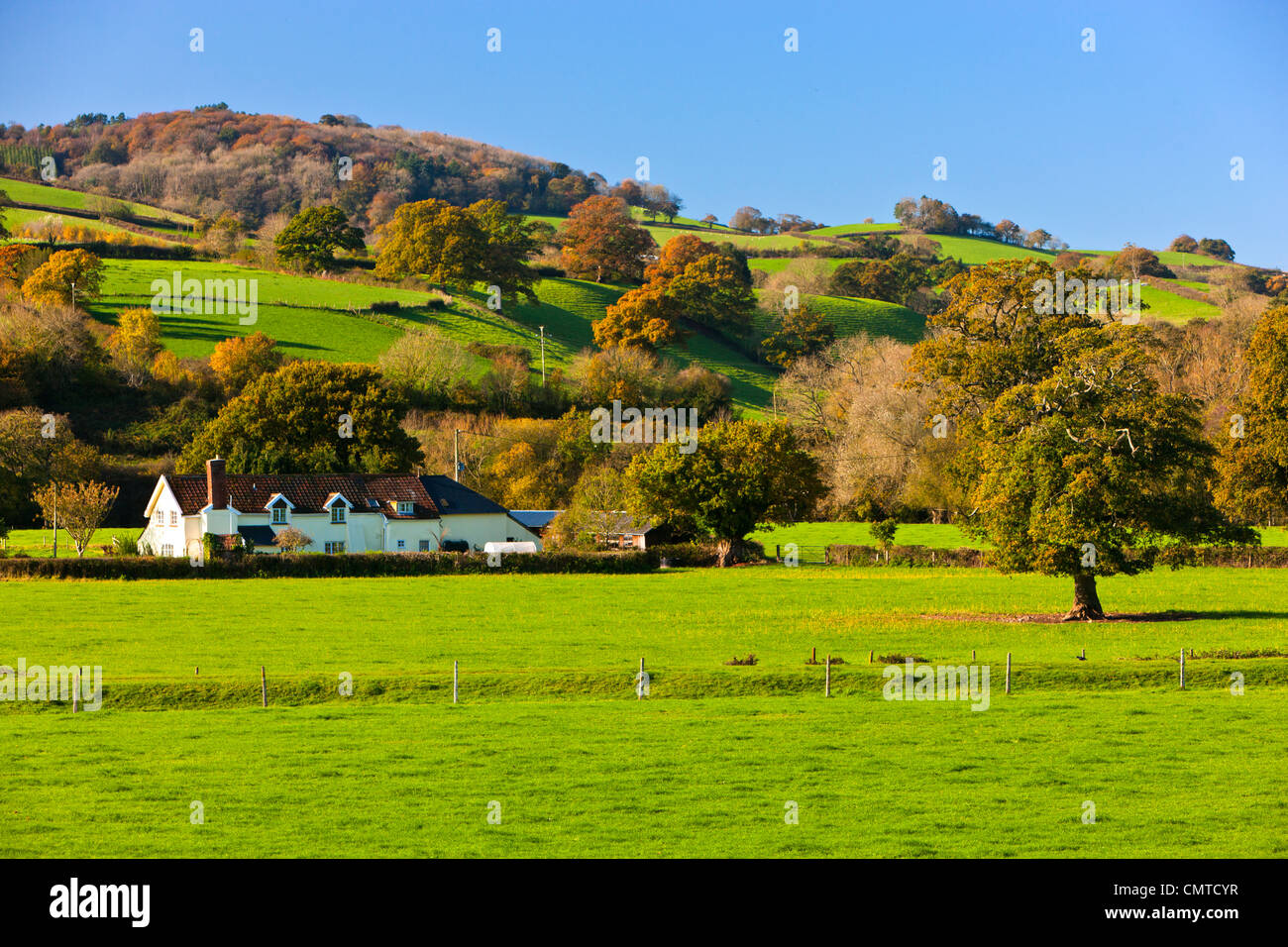 Le dolci colline della campagna di Devon Foto Stock