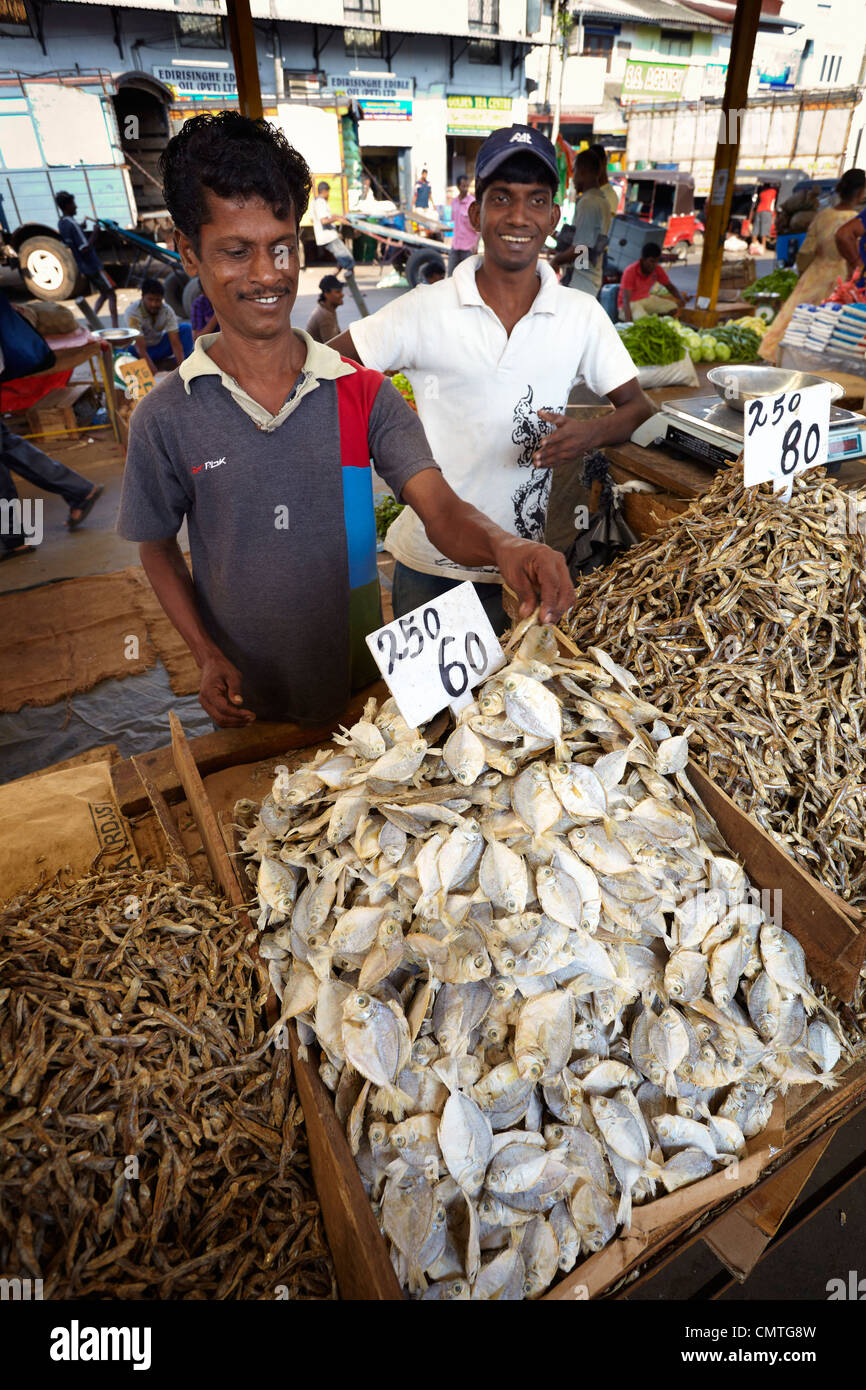 Sri Lanka - Colombo, essiccato e pesce salato al mercato Foto Stock