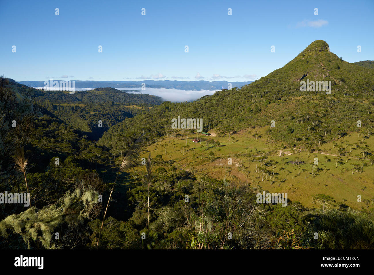 Nella regione montuosa del sud di Santa Catarina Foto Stock
