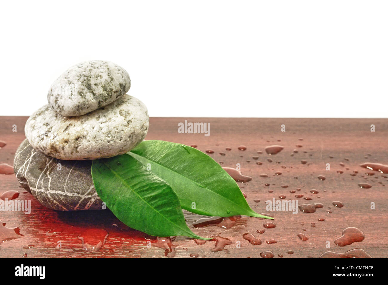 Pietre spa armonia zen con foglie verdi e gocce di acqua Foto Stock