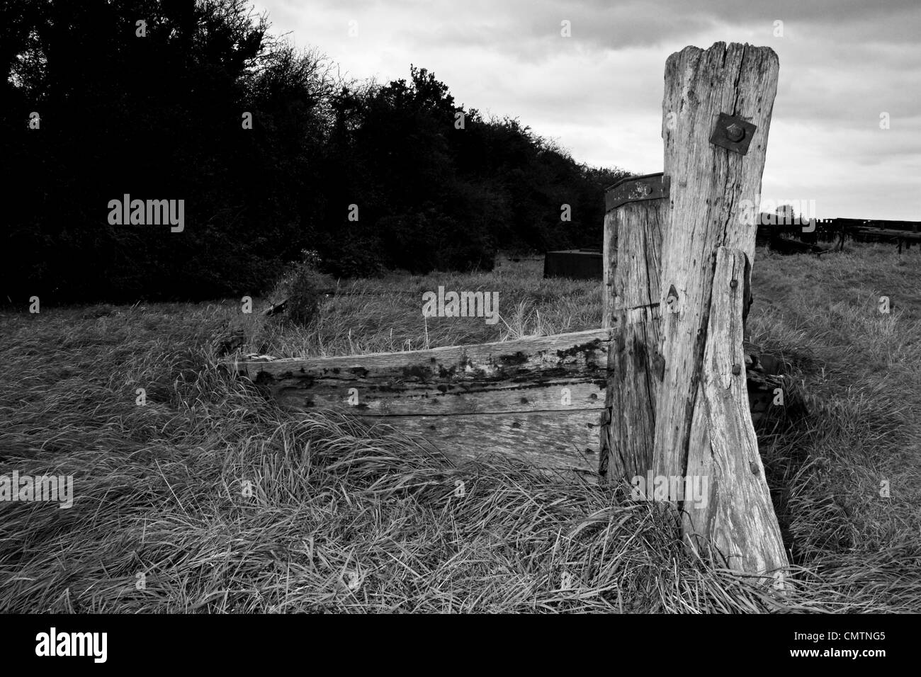 Chiatte distrutto nei pressi del villaggio di Purton Gloucestershire, sulle rive del fiume Severn Foto Stock