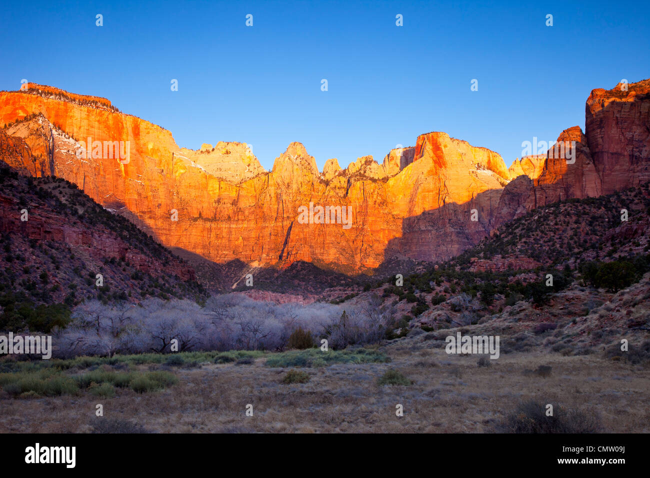 Prime luci dell alba ad ovest del tempio e le torri della Vergine, Zion National Park nello Utah Stati Uniti d'America Foto Stock