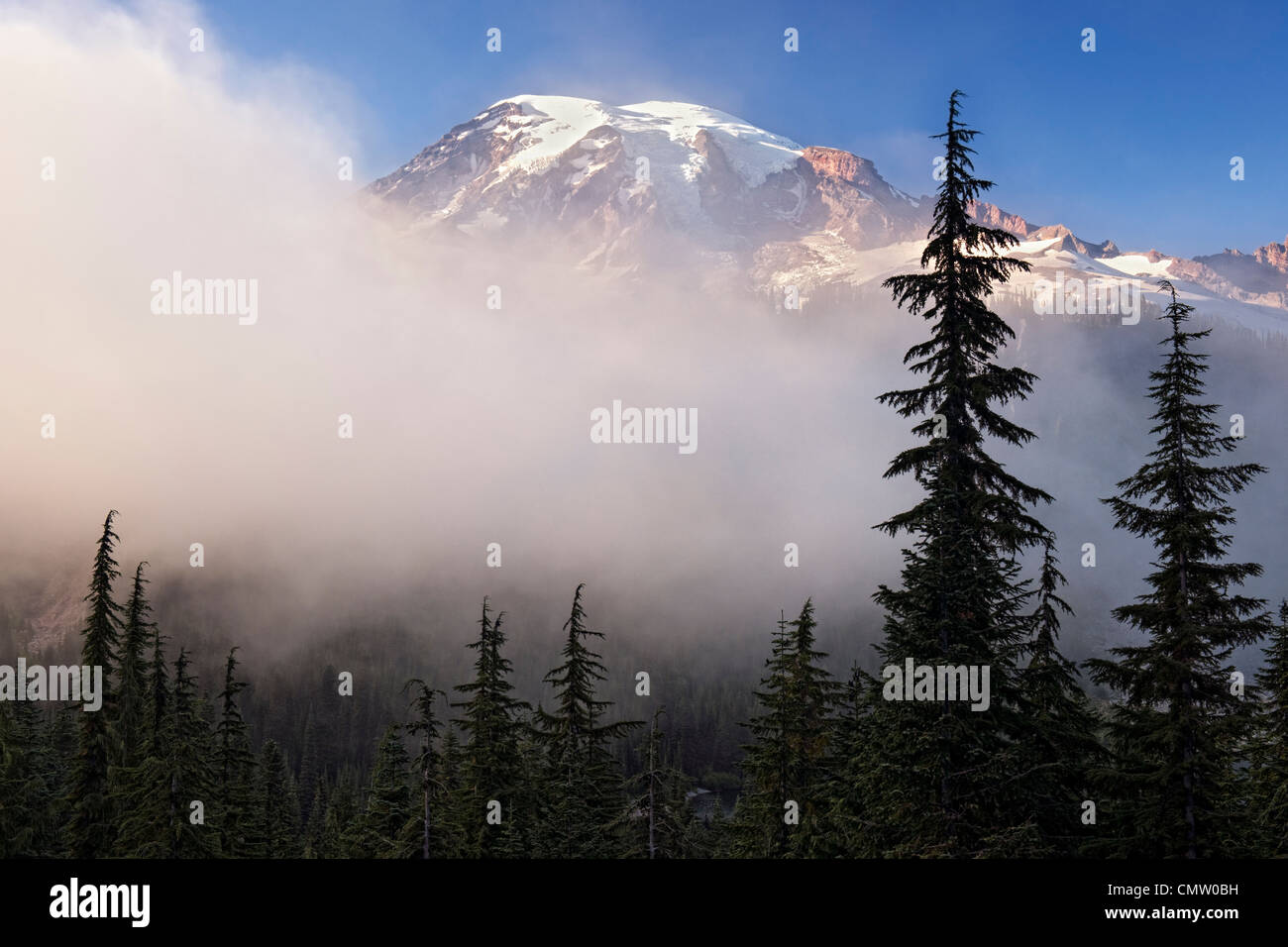 Washington il picco più alto, Mt Rainier emerge dalla nebbia estiva in Mount Rainier National Park. Foto Stock