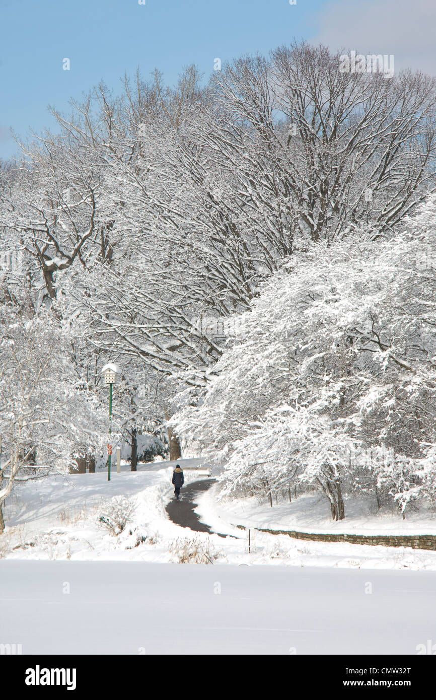 Donna che cammina giù per un sentiero in inverno, High Park, Toronto, Ontario Foto Stock