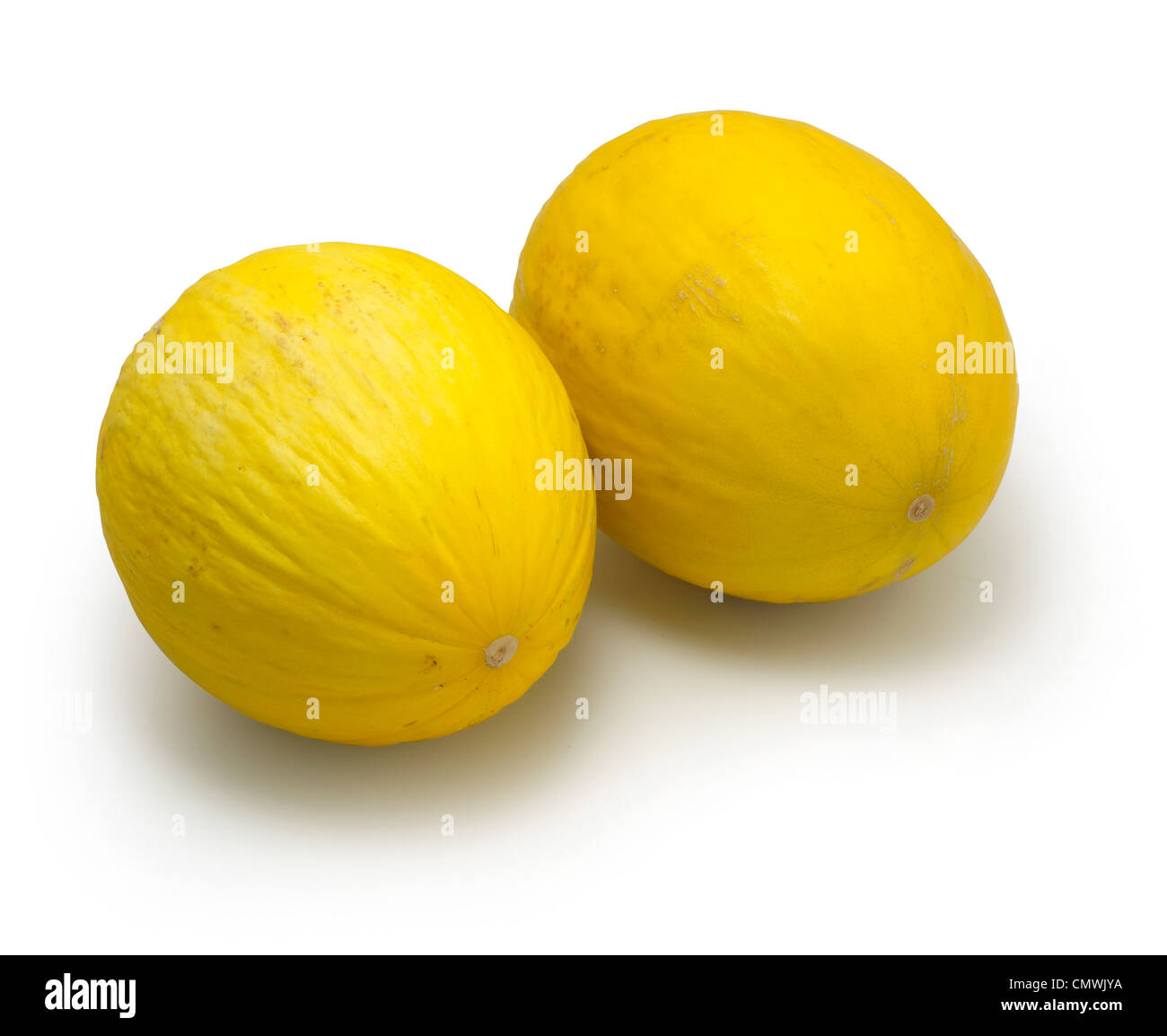 Coppia di limoni Foto Stock