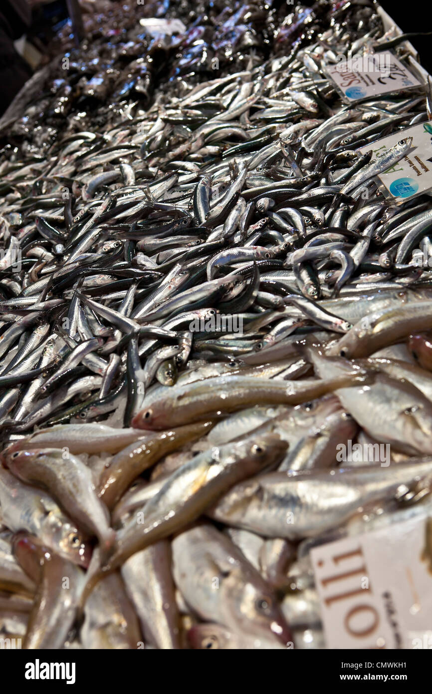 Mercato del pesce di Rialto, Venezia, Veneto, Italia Foto Stock