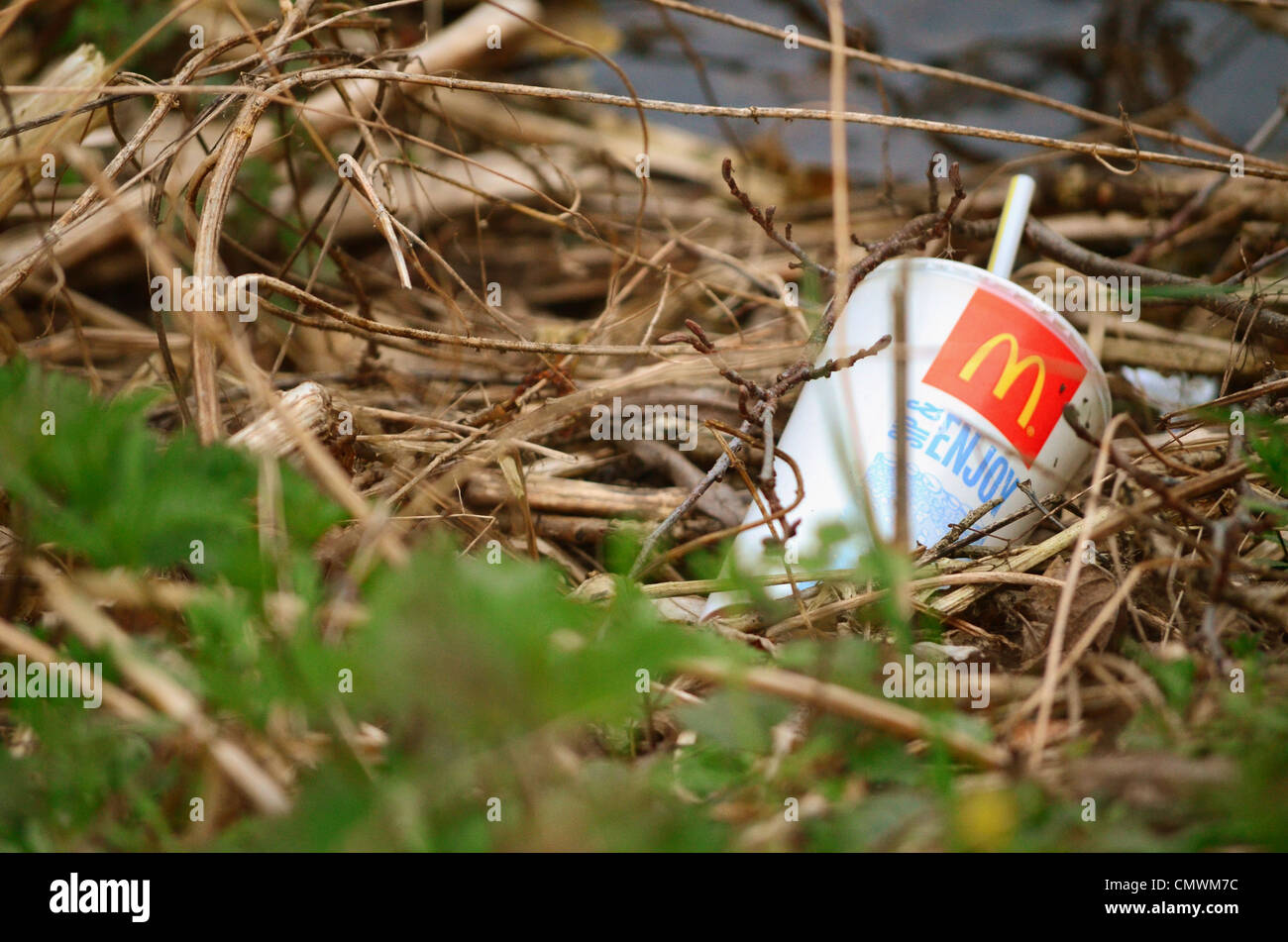 McDonalds drink cup amonst ramoscelli e erba al bordo di un torrente. Foto Stock