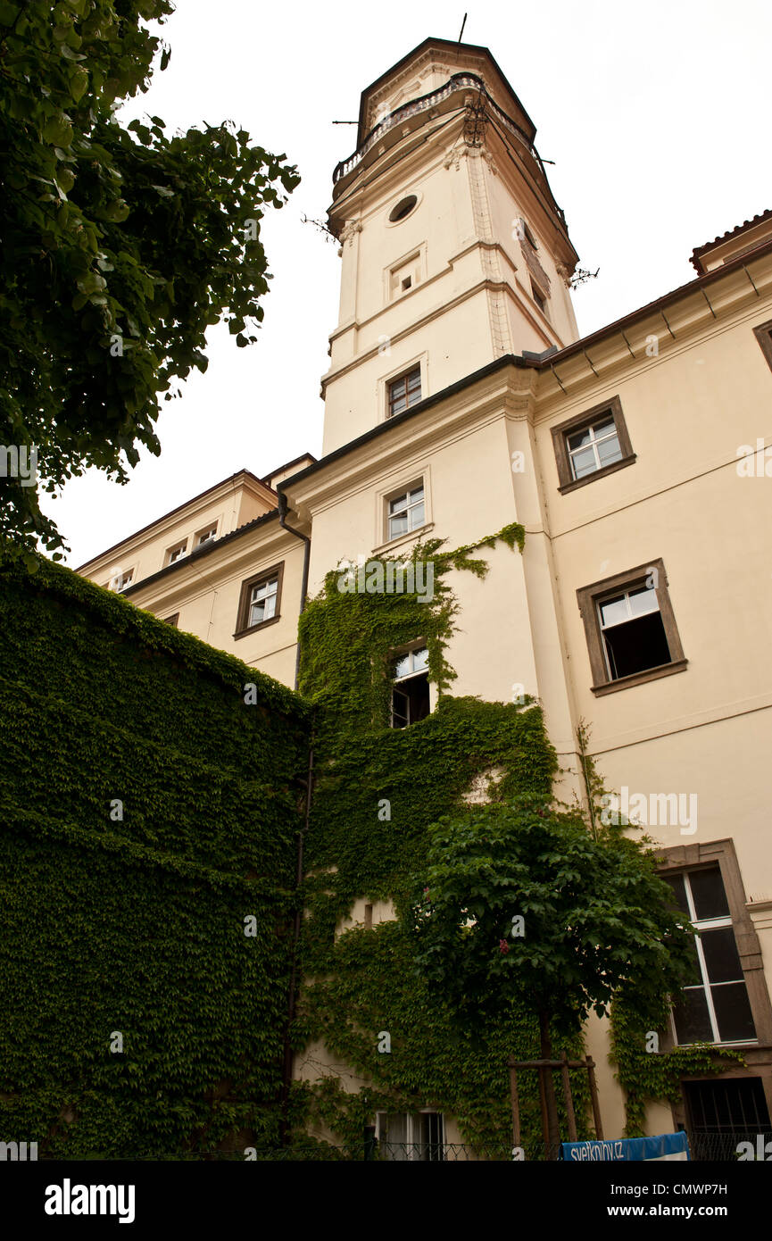 Il muschio cresce su una repubblica ceca architettura. Foto Stock