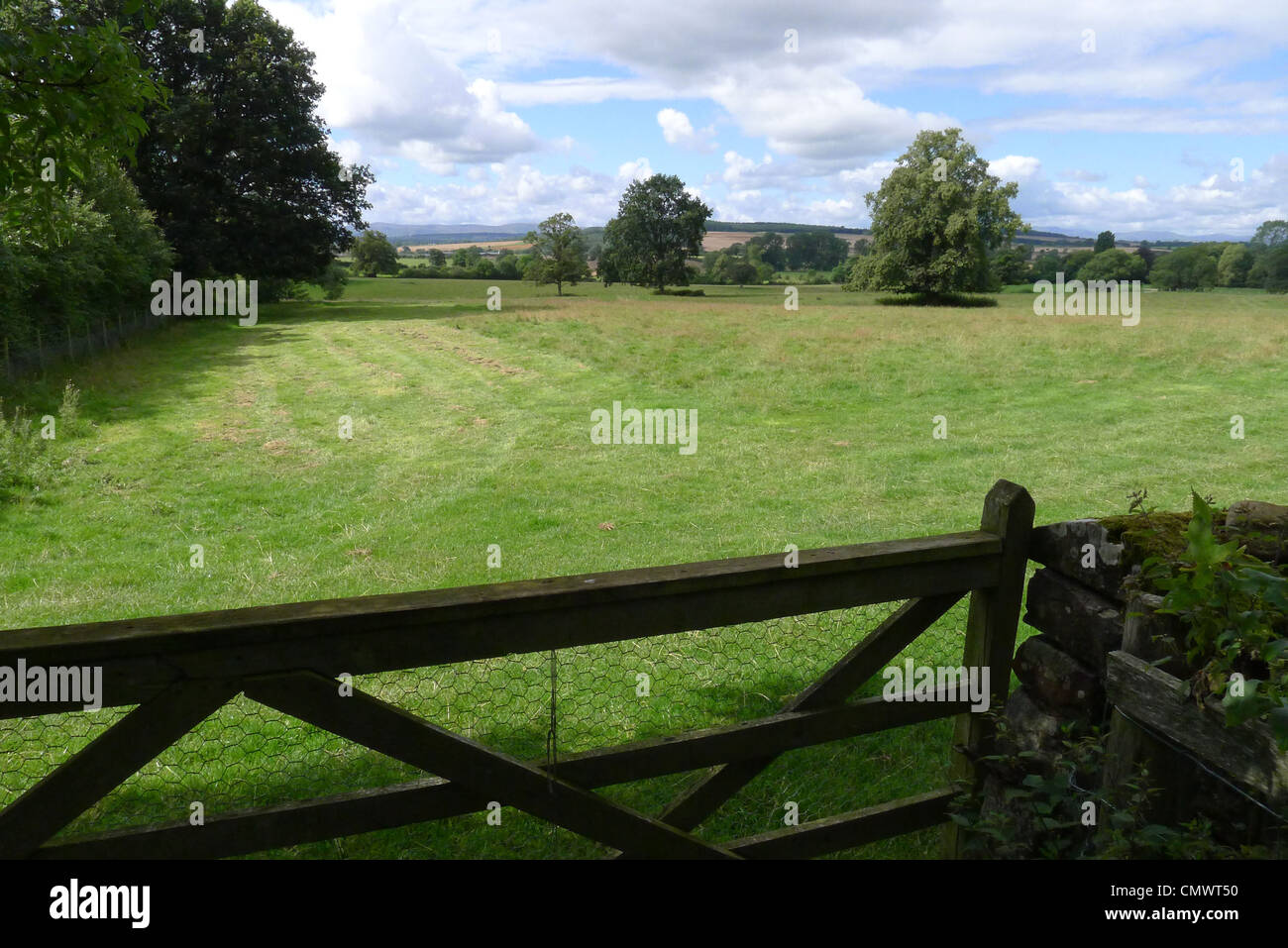 Una vista pittoresca del Cumbria campagna nei pressi del villaggio di Temple Sowerby Foto Stock