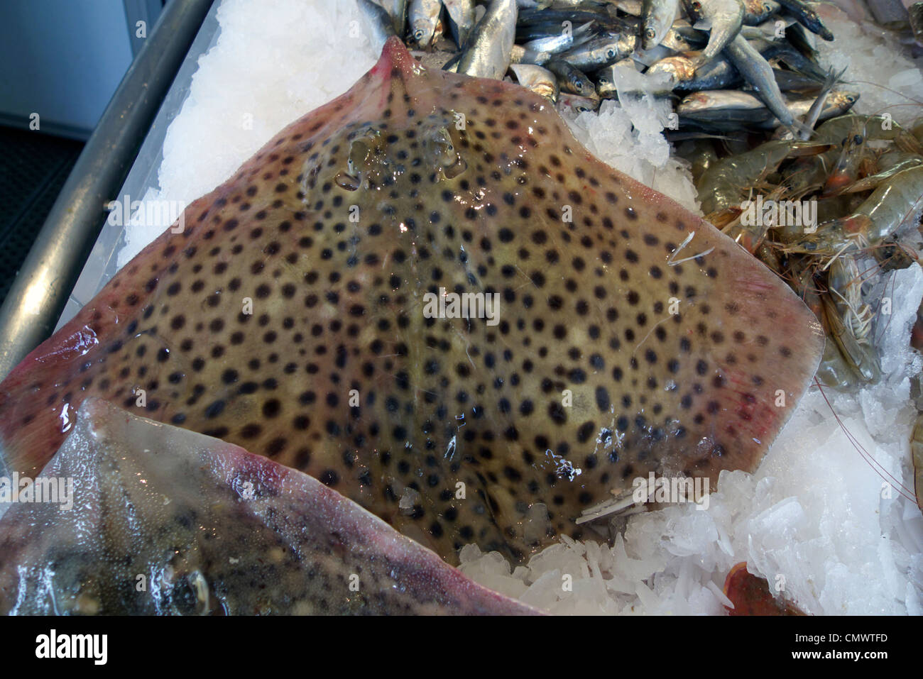 Regno Unito west sussex littlehampton riverside pescheria un umido display di pesce Foto Stock